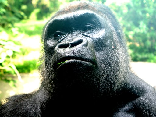 letter to my brother